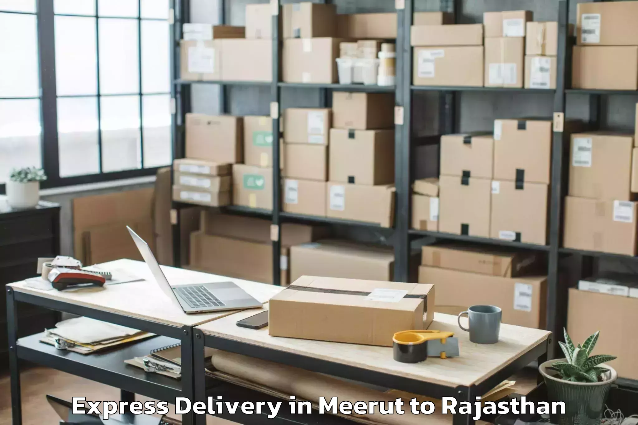 Top Meerut to Niit University Neemrana Express Delivery Available